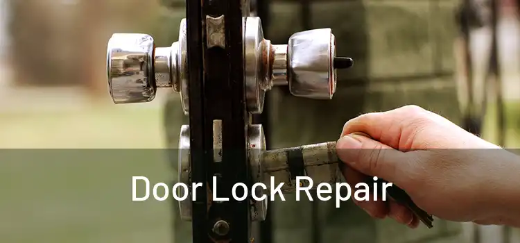  Door Lock Repair 